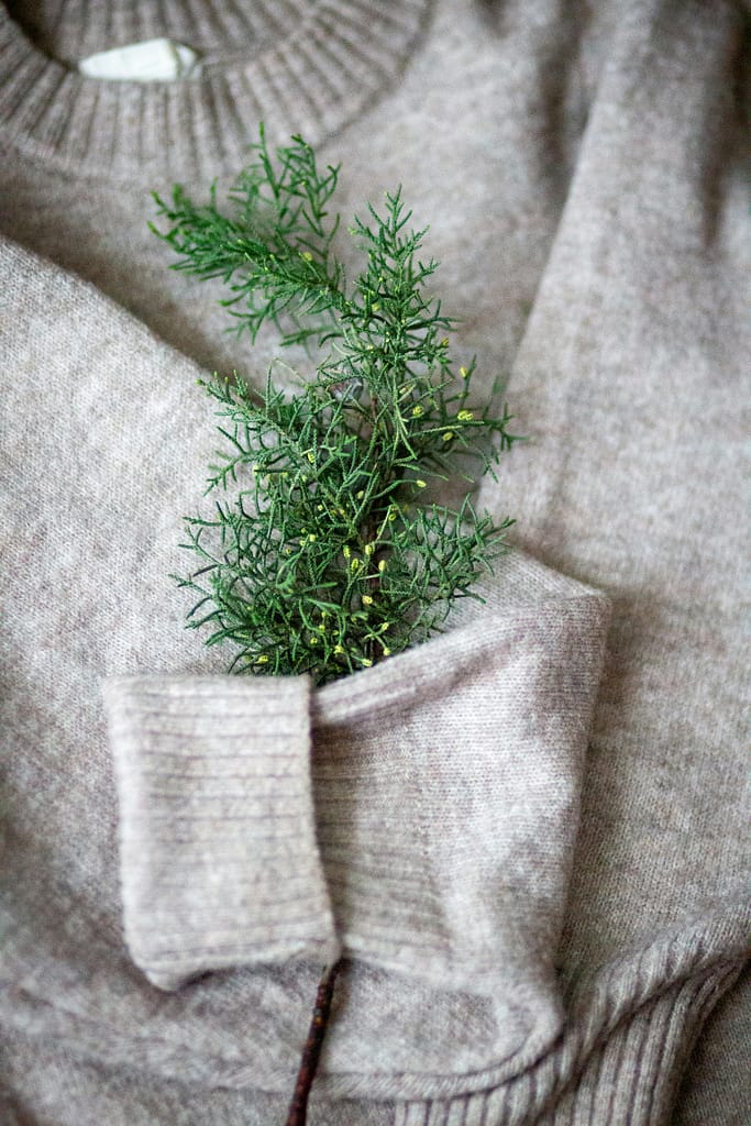 Soft beige sweater with a green branch in the pocket, showcasing cozy and natural style.