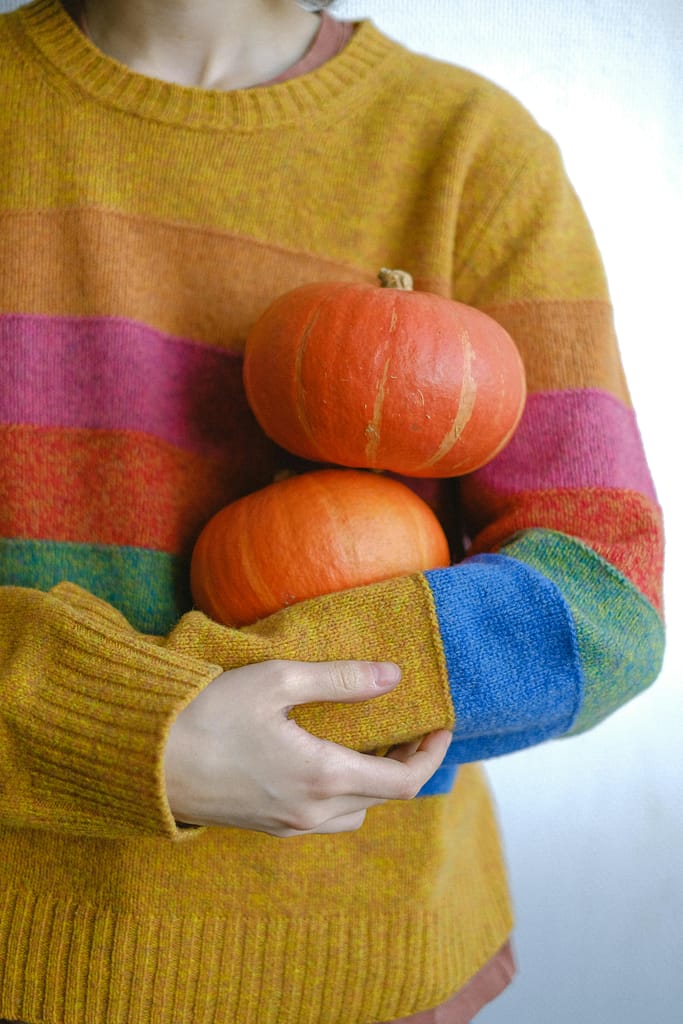 Person in colorful sweater holding pumpkins, embodying autumn vibes.